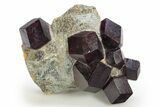 Impressive Almandine Garnets in Schist - Austria #316738-1